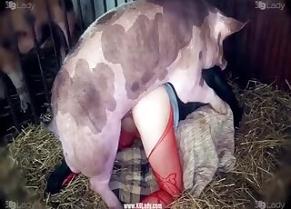 Pussy animal sex