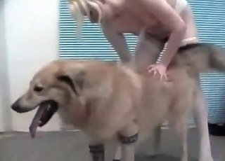 Leggy zoophile vs a big furry doggo