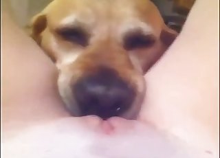 Smooth pussy licked, female POV zoo sex