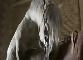 Horses are all about hardcore sex
