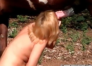 Horse cock worshiped by a slut