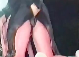 Very fast bestiality porn action