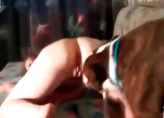 Intense doggy style with a brown dog