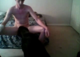 Bestiality porn with a gay guy who gets licked