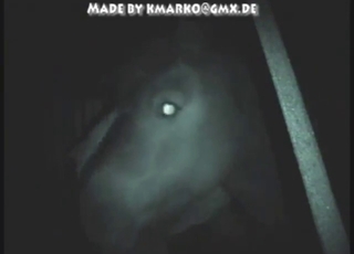 Forget it, this dude cannot stop fucking horses