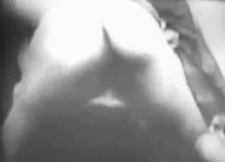 Zoo porn shows how vintage action gets you going