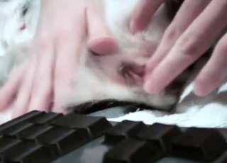 Wet dog pussy sends this dude into a frenzy