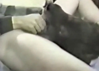 That dog's hole is going to get ruined for real