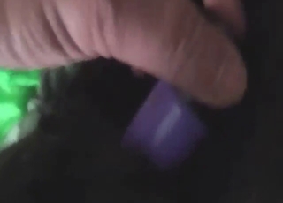 Zoo XXX scene with tons of kinky action here