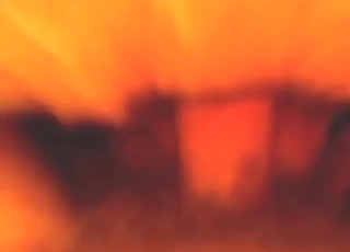 We know just how wild it gets with a dog