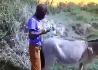 Sinful donkey gets drilled by a random guy