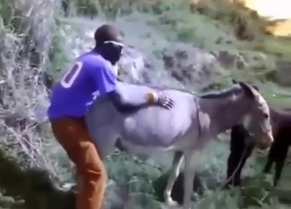 Sinful donkey gets drilled by a random guy