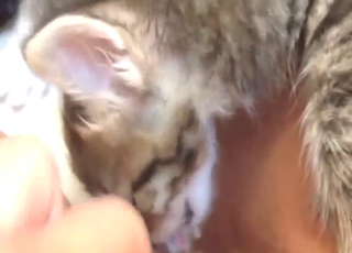 Lick that pussy to keep that pussy so wet