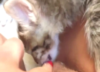 Lick that pussy to keep that pussy so wet