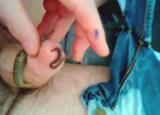 Zoo-freak's dick swarmed by worm n' slug here