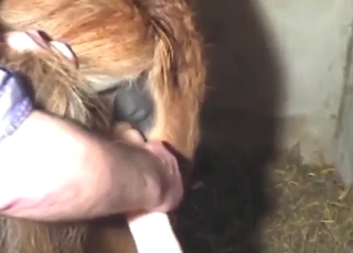 Mare-slut ramming a fat dildo for a pound-out