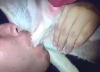 Dude slurping dog nuts like a hungry cum-guzzler