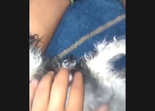 Playing with her own cunt with a dog in sight