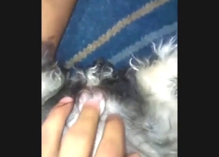 Playing with her own cunt with a dog in sight