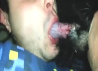 Dude cockily sucking dog dick like a champ