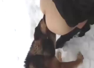 Zoo porn showing a sexy zoophile licked by dog