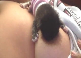 Zoo XXX with breastfeeding and a slutty puppy