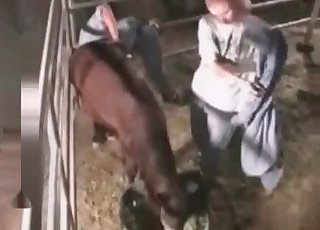 Sweet blonde jockey licks a stallion ass