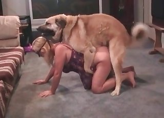 This dog is trained to lick her pussy