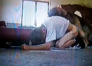 Thick zoophile taking it on all fours