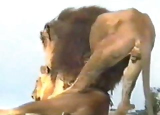 True animalistic passion in HD