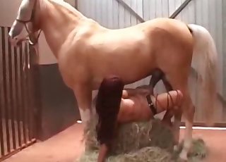 Horse gives a creampie banging to a zoophile