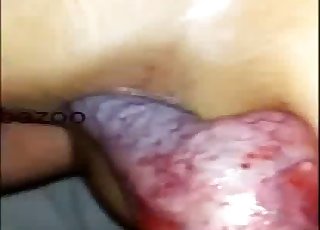 Spicy as fuck bestiality dog porn XXX