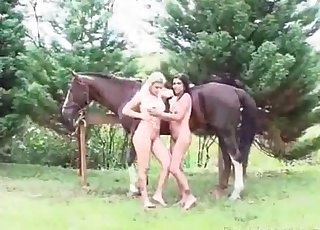Two girlfriends fucking a horse together